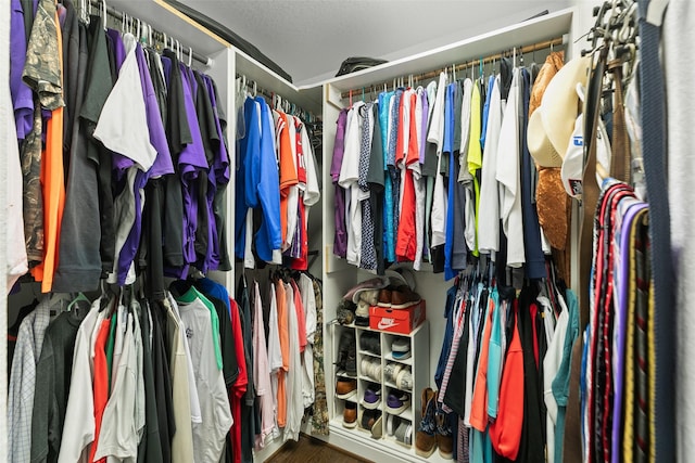 spacious closet with wood finished floors