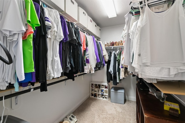 walk in closet with carpet flooring