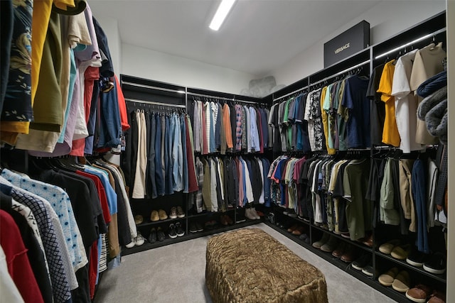 spacious closet with carpet flooring