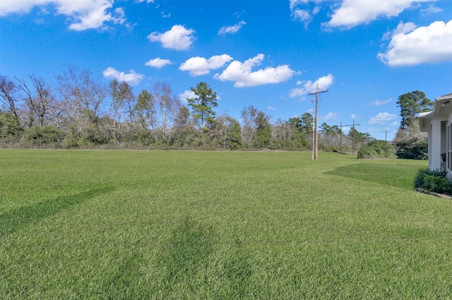 view of yard