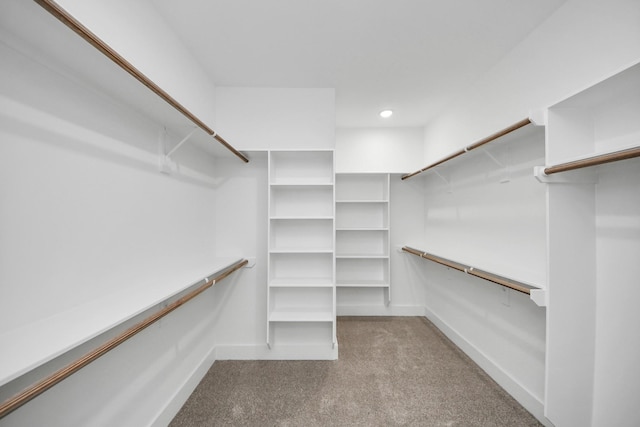 walk in closet featuring carpet floors