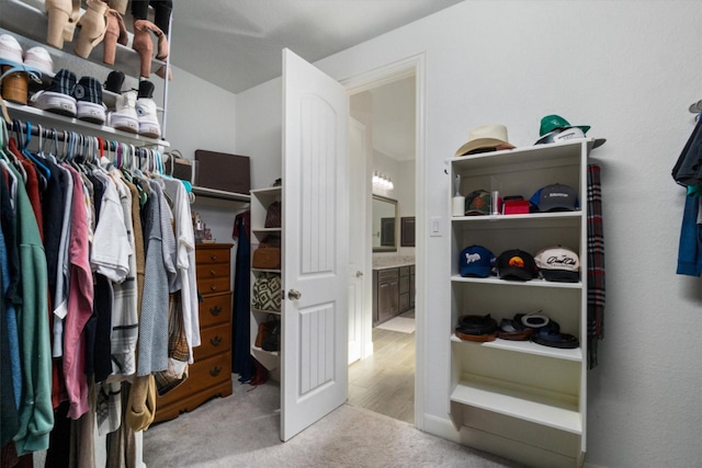 spacious closet featuring carpet