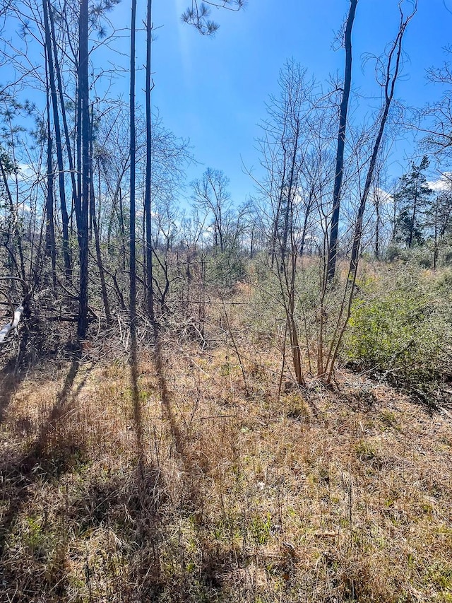 0 Fm 2262, Groveton TX, 75845 land for sale