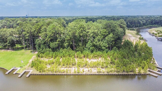 427 Mendecino Glen Ct, Huffman, TX 77336 - photo 11