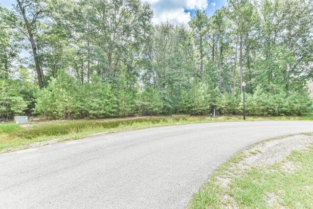 427 Mendecino Glen Ct, Huffman, TX 77336 - photo 15