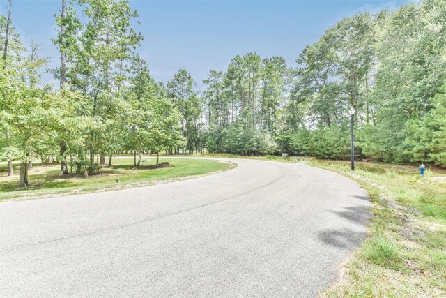 427 Mendecino Glen Ct, Huffman, TX 77336 - photo 16