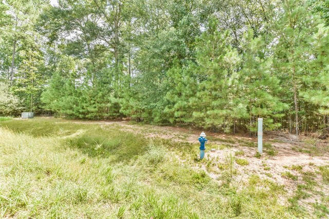 427 Mendecino Glen Ct, Huffman, TX 77336 - photo 17
