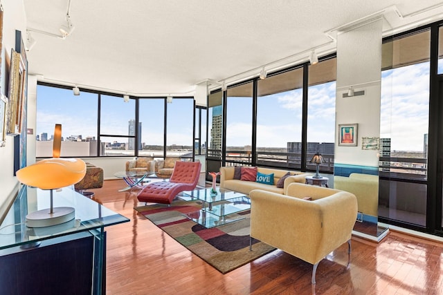 living area with a textured ceiling, plenty of natural light, wood finished floors, and a city view