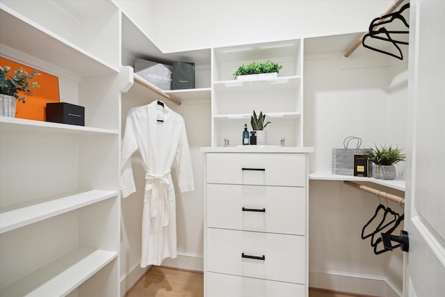 spacious closet featuring light wood-type flooring