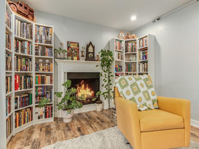 living area featuring a warm lit fireplace and wood finished floors