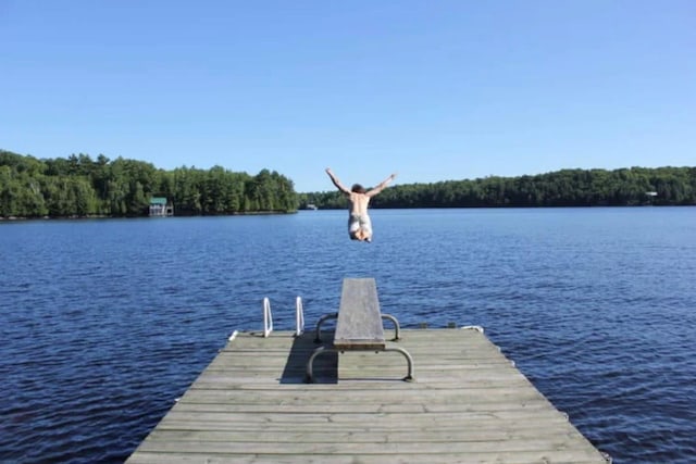 dock area with a water view and a forest view