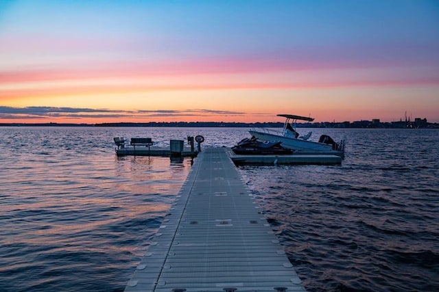 dock area featuring a water view