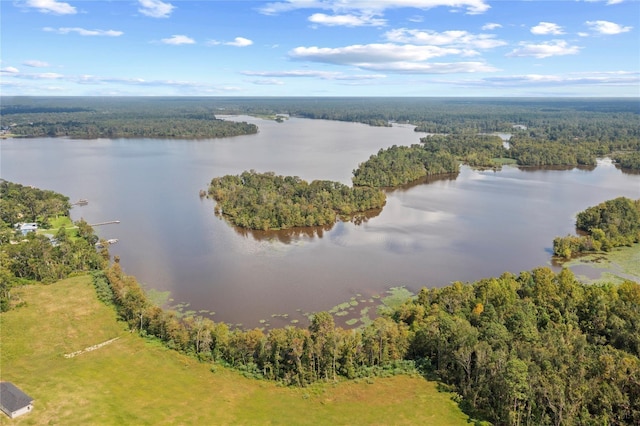 birds eye view of property with a water view and a view of trees