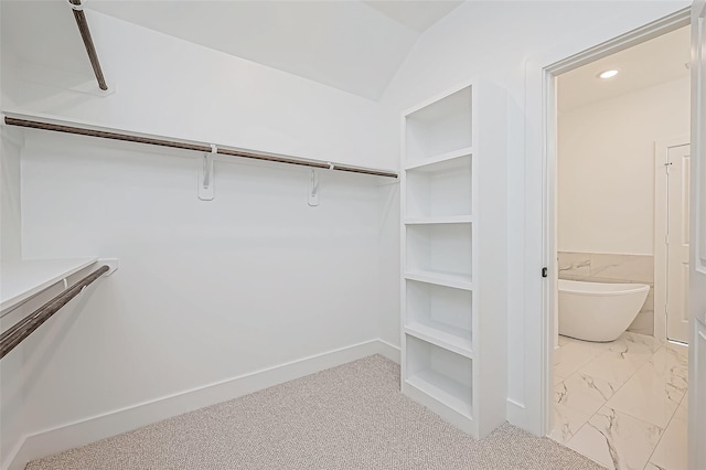 spacious closet with vaulted ceiling