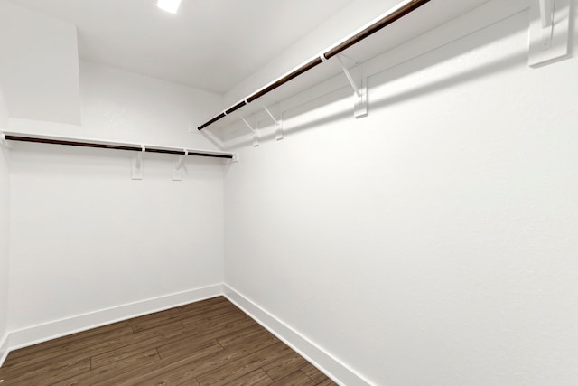 walk in closet with dark wood finished floors