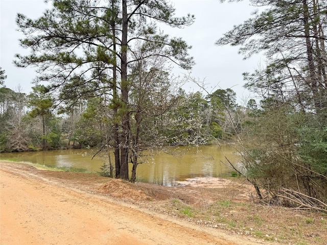 property view of water with a forest view