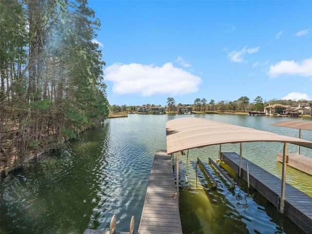 dock area featuring a water view