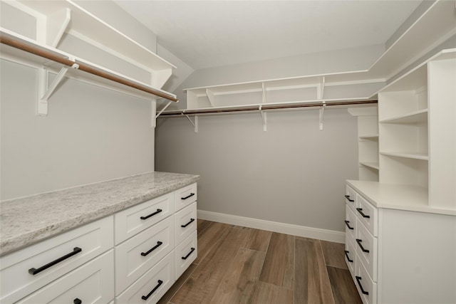 spacious closet featuring dark wood finished floors