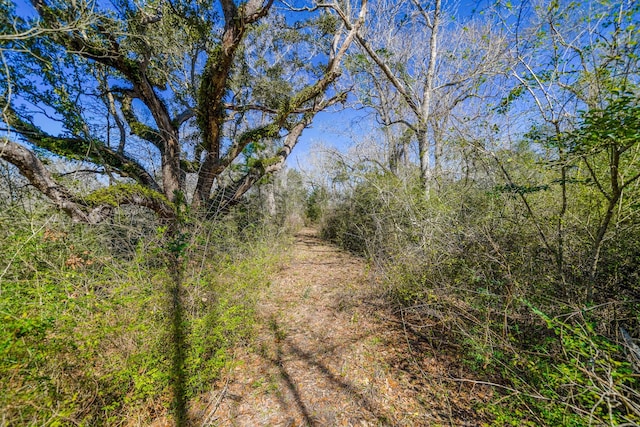 314 County Road 904, Alvin, TX 77511