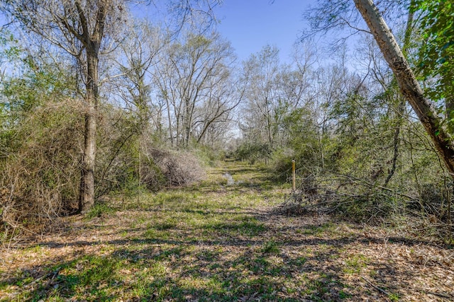 314 County Road 904, Alvin, TX 77511