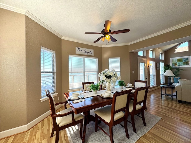 dining room with a textured wall, light wood finished floors, a textured ceiling, and a ceiling fan