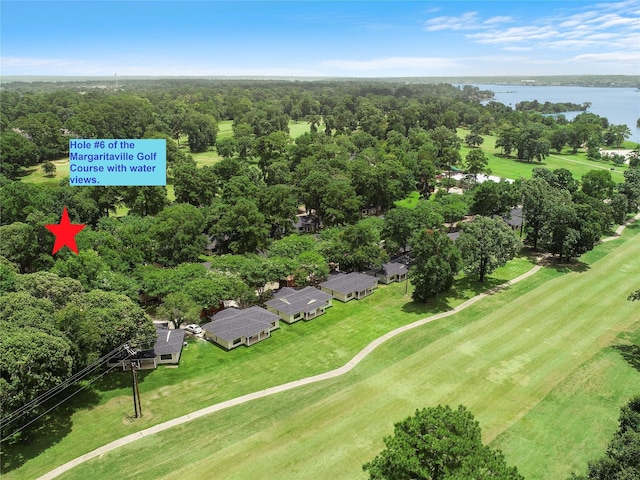 bird's eye view with a forest view and a water view