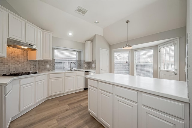 kitchen featuring gas stovetop, visible vents, stainless steel dishwasher, a sink, and under cabinet range hood