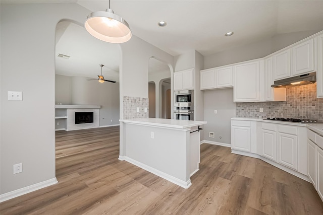 kitchen with light wood finished floors, appliances with stainless steel finishes, a fireplace, and under cabinet range hood