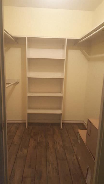 walk in closet featuring dark wood finished floors