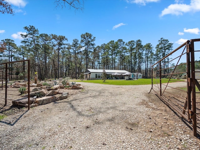 view of yard with gravel driveway