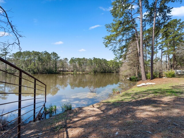 water view with a view of trees