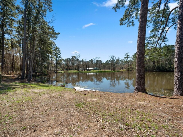 water view featuring a forest view