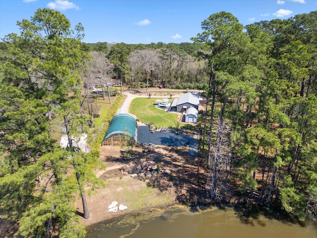 bird's eye view with a forest view