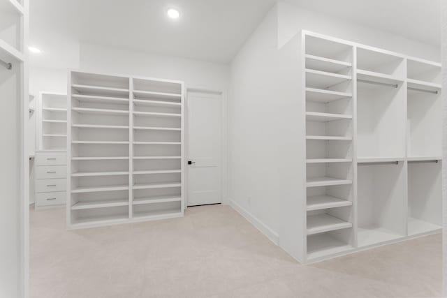 view of spacious closet