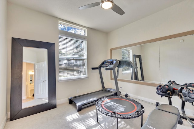 workout room featuring ceiling fan, carpet floors, and baseboards