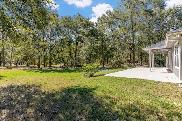 view of yard with a patio area