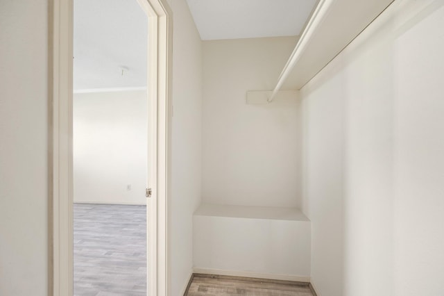 spacious closet with wood finished floors