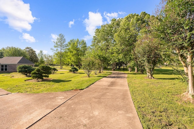 view of property's community with a yard