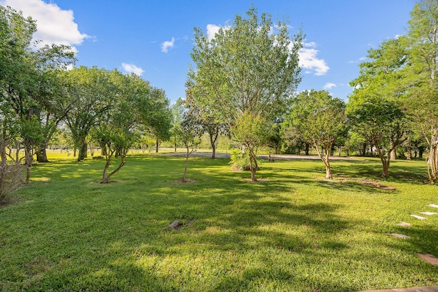 view of home's community featuring a yard