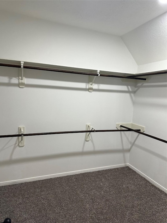 walk in closet featuring carpet floors and vaulted ceiling