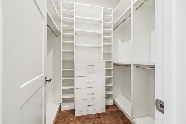 spacious closet featuring dark wood-type flooring