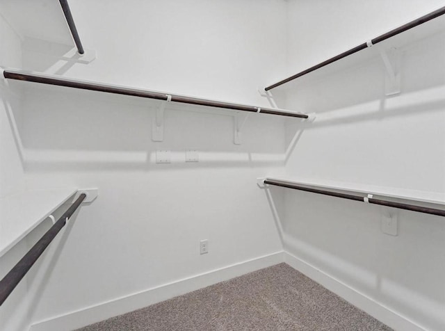 walk in closet featuring carpet flooring