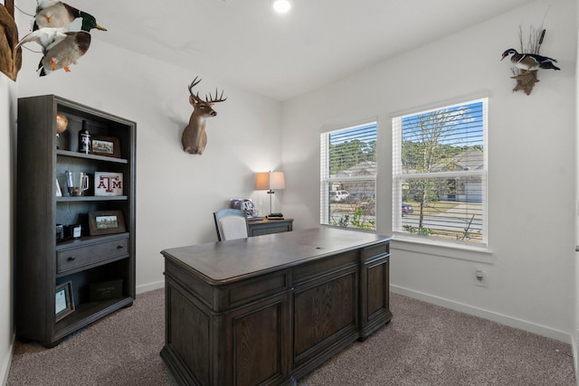 office area with carpet and baseboards