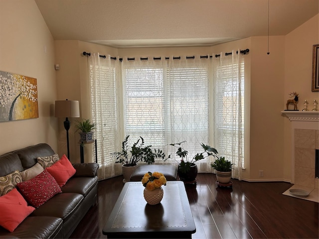 living area featuring wood finished floors and a tile fireplace