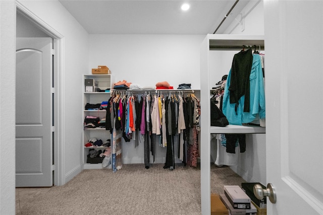 walk in closet featuring carpet flooring