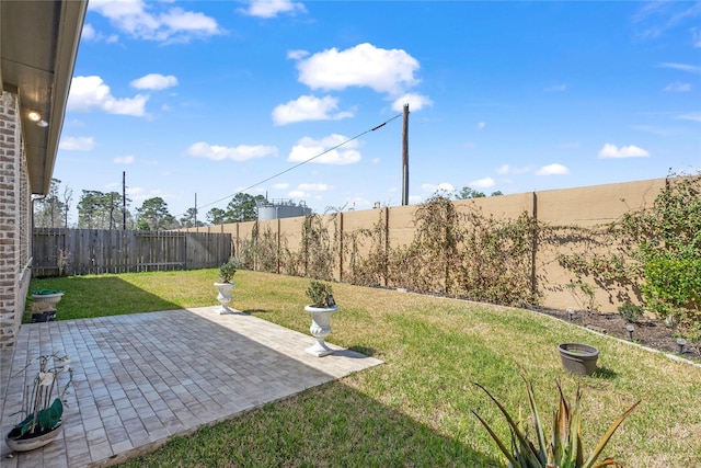 view of yard with a patio and a fenced backyard