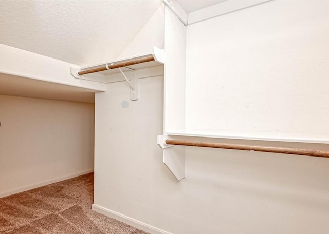 spacious closet featuring carpet floors