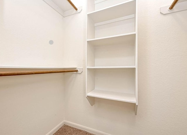 walk in closet with carpet