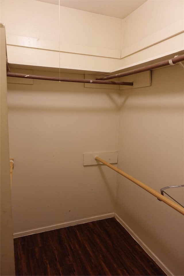 walk in closet featuring dark wood finished floors