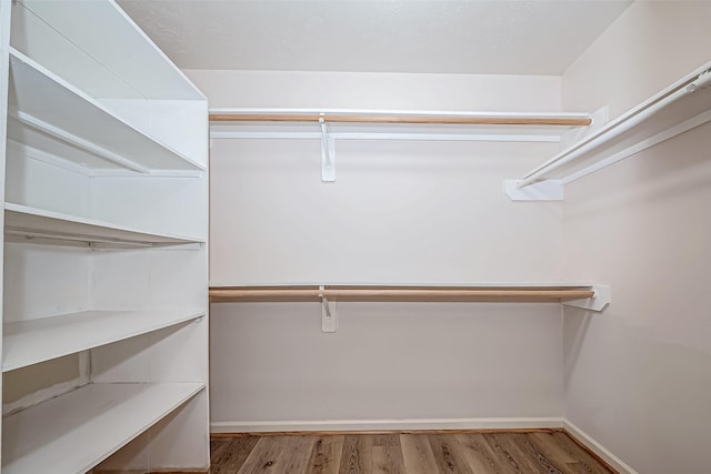 spacious closet featuring wood finished floors